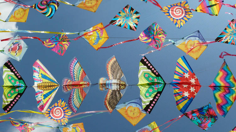 Types of Kites & Manja - Used in Modern Kiteboarding
